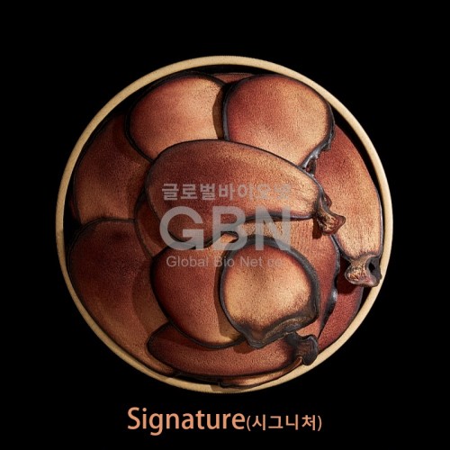[시그니처] 뉴질랜드 분골